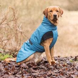 Trixie Vinterjakke Til Hunden Design Riom Blå